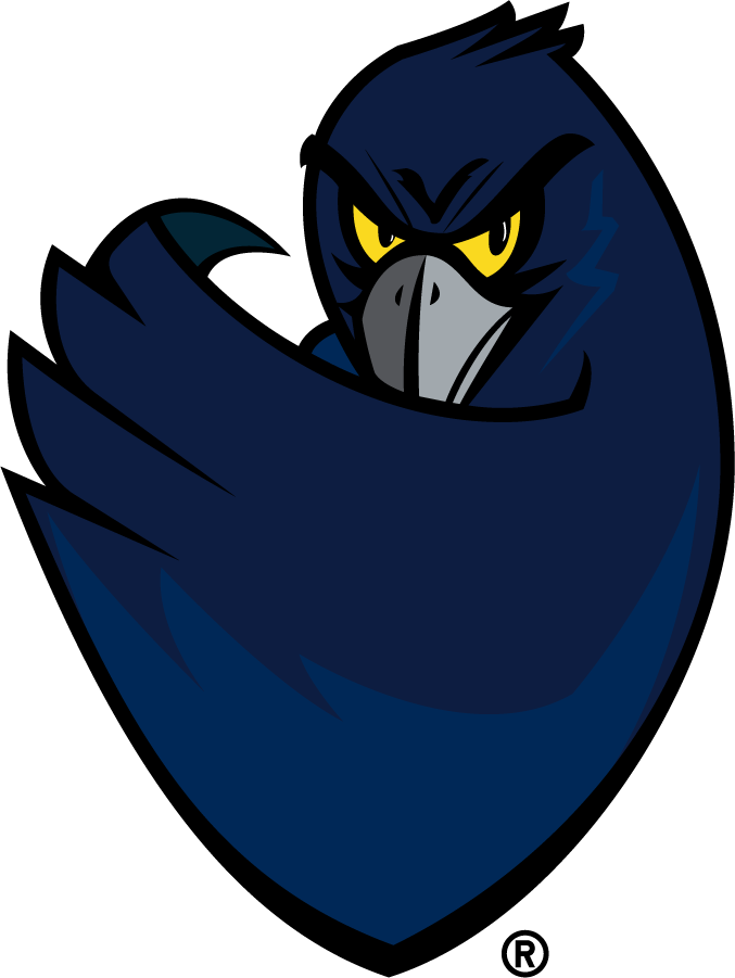 Monmouth Hawks 2003-2014 Secondary Logo t shirts iron on transfers